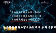 : 深度解析韩国加密区块链项目：机遇与挑战