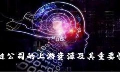 区块链公司的上游资源及其重要性分析