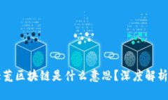 ### 北大荒区块链是什么意思？深度解析与应用前