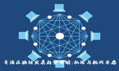 青海区块链发展趋势前瞻：机遇与挑战并存