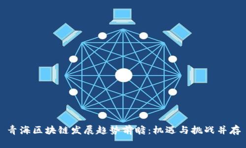 青海区块链发展趋势前瞻：机遇与挑战并存