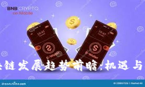 青海区块链发展趋势前瞻：机遇与挑战并存