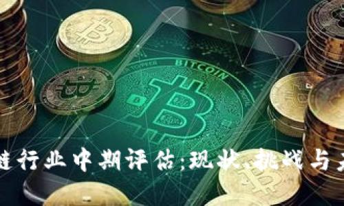 : 区块链行业中期评估：现状、挑战与未来展望