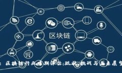 : 区块链行业中期评估：现状、挑战与未来展望