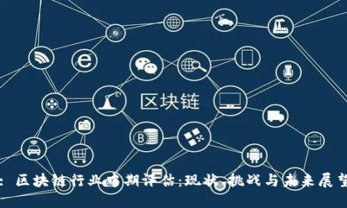: 区块链行业中期评估：现状、挑战与未来展望