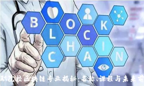   
高职院校区块链专业揭秘：名称、课程与未来前景