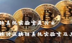 区块链系统实验室是什么深入探讨区块链系统实