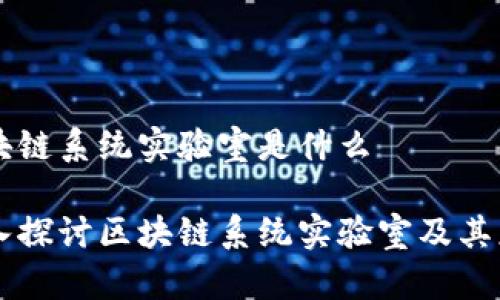 区块链系统实验室是什么

深入探讨区块链系统实验室及其应用