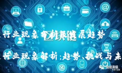 区块链行业现象分析及发展趋势

区块链行业现象解析：趋势、挑战与未来展望