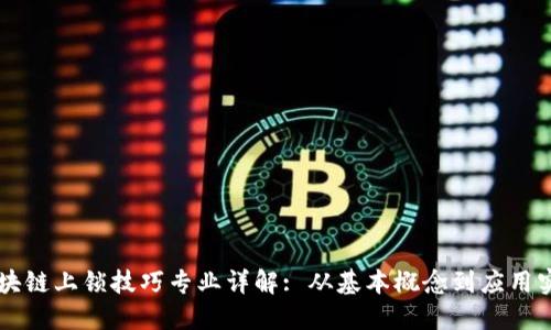 区块链上锁技巧专业详解: 从基本概念到应用实践