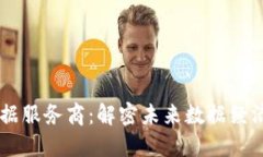 区块链大数据服务商：解密未来数据经济的关键