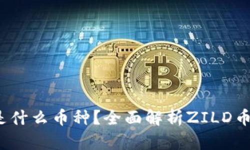 区块链ZILD是什么币种？全面解析ZILD币的特点与应用
