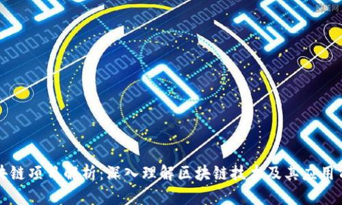 区块链项目解析：深入理解区块链技术及其应用前景