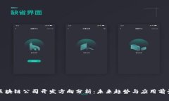 区块链公司开发方向分析：未来趋势与应用前景