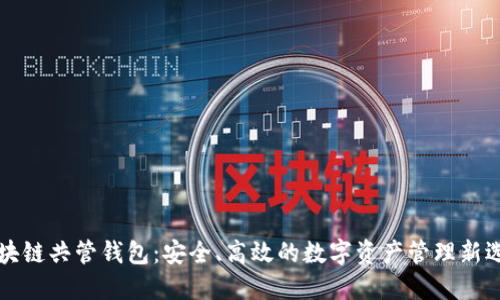区块链共管钱包：安全、高效的数字资产管理新选择