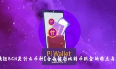 区块链BCH是什么币种？全面解析比特币现金的特