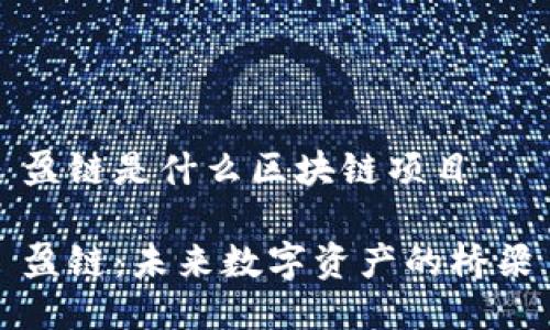 盈链是什么区块链项目

盈链：未来数字资产的桥梁