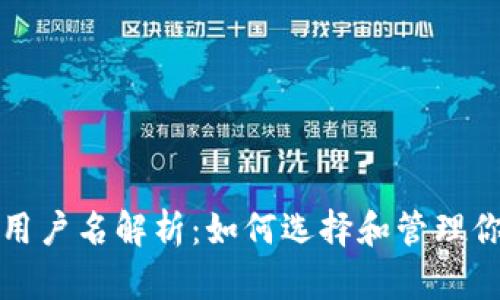 区块链上的用户名解析:如何选择和管理你的数字身份