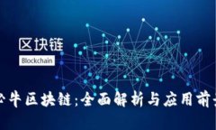 必牛区块链：全面解析与应用前景