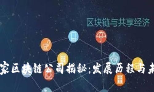 宁波首家区块链公司揭秘：发展历程与未来展望