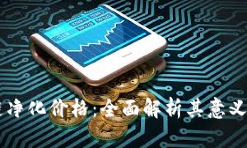 区块链净化价格：全面解析其意义与应用