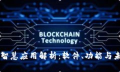 区块链智慧应用解析：软件、功能与未来展望