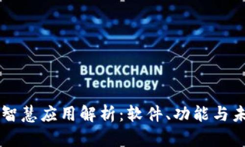 区块链智慧应用解析：软件、功能与未来展望