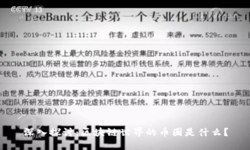 深入探讨：区块链世界的币圈是什么？