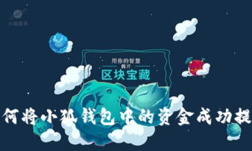 如何将小狐钱包中的资金成功提现