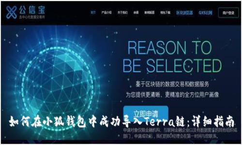 如何在小狐钱包中成功导入Terra链：详细指南