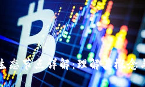 区块链生态节点详解：理解其概念与重要性