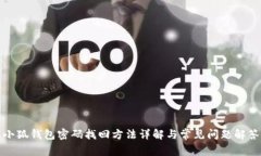 小狐钱包密码找回方法详解与常见问题解答