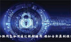 小狐钱包如何通过视频赚钱：揭秘全新盈利模式