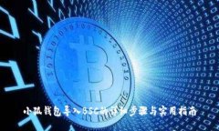 小狐钱包导入BSC的详细步骤与实用指南