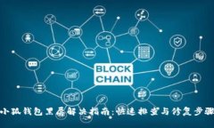 小狐钱包黑屏解决指南：快速排查与修复步骤