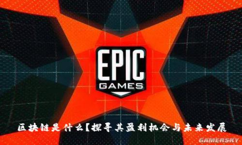 区块链是什么？探寻其盈利机会与未来发展