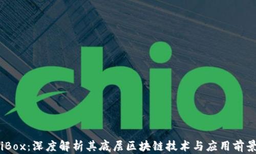 
iBox：深度解析其底层区块链技术与应用前景