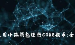 如何使用小狐钱包进行CORE提币：全面指南