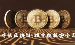 biasoti大数据中的区块链：探索数据安全与透明的