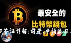 区块链工作签证详解：前景、申请流程与注意事