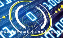 中国区块链平台解析：多元化发展与应用前景