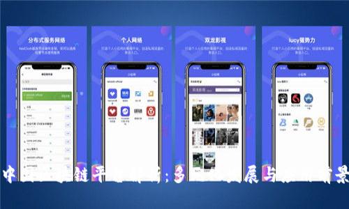 中国区块链平台解析：多元化发展与应用前景