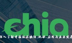 深入了解中国版区块链：现状、应用与未来发展