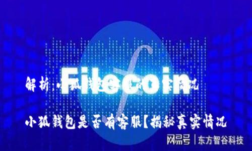 解析：小狐钱包客服的真实情况

小狐钱包是否有客服？揭秘真实情况