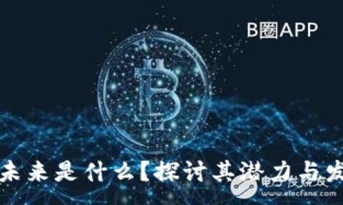 :
区块链未来是什么？探讨其潜力与发展趋势