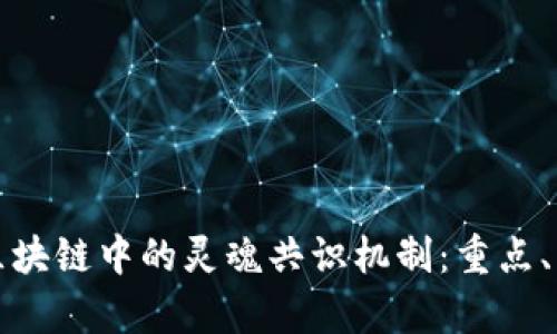 深入探讨区块链中的灵魂共识机制：重点、作用与前景
