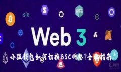 小狐钱包如何切换BSC网络?全面指南