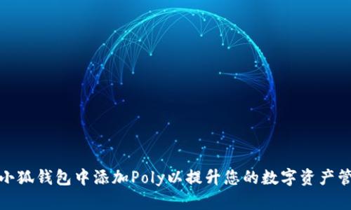 如何在小狐钱包中添加Poly以提升您的数字资产管理体验