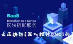 BNCT是什么区块链？深入探讨BNCT的背景与应用