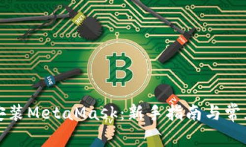 如何快速安装MetaMask：新手指南与常见问题解答